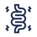 Anoscopías Para Observar El Revestimiento Del Canal Anal