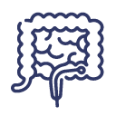 Colonoscopía Para Observación Del Colon y Recto