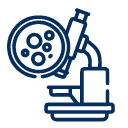 tomas de biopsias de estomago en lima