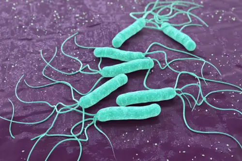 helicobacter pylori síntoma común en lima