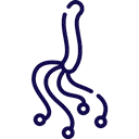 detección de helicobacter pylori